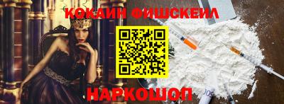СК Кингисепп