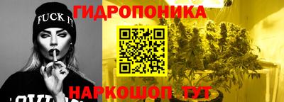 СК Кингисепп