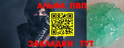 СК Кингисепп