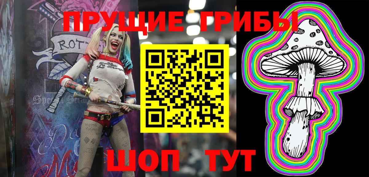 Галлюциногенные грибы Psilocybine cubensis  Псилоцибиновые грибы Psilocybine cubensis  Вход с VPN  Кувандык 
